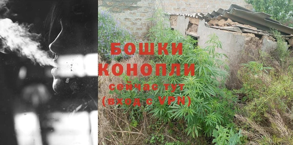 Альфа ПВП Корсаков