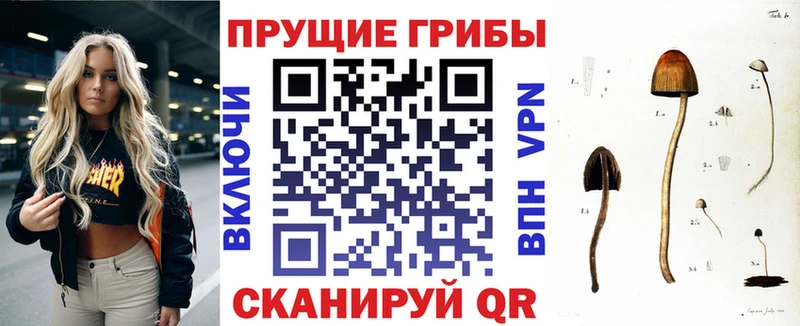 Галлюциногенные грибы мухоморы  Купить где  Великий Устюг 